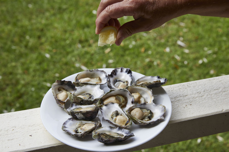 Food & Drinks, Mystery Bay Cottages, Eurobodalla