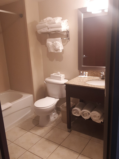 Bathroom 4, Comfort Inn Near Quantico Main Gate North, Prince William