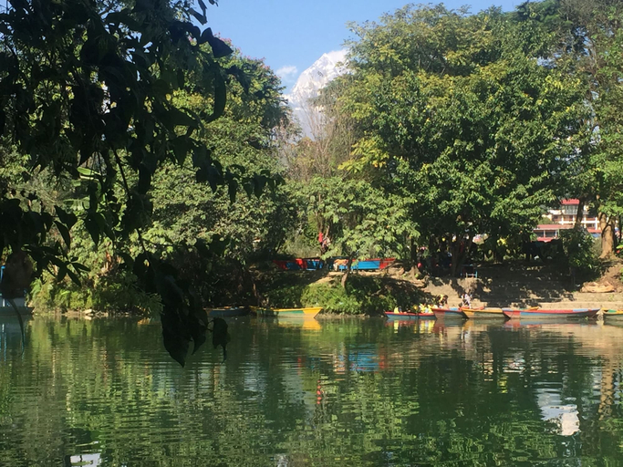 Others 5, Harry Guest House & Restaurant, Gandaki