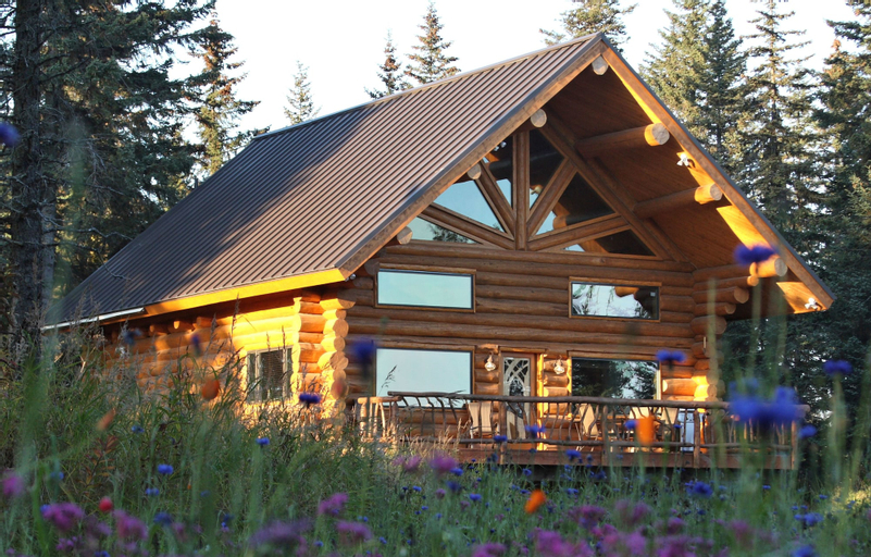 Bear Paw Adventure, Kenai Peninsula