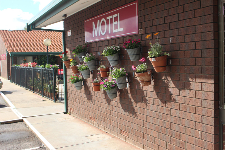 Exterior & Views 2, Pavlos Motel, Adelaide