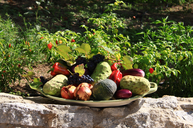 Food & Drinks, B&B La Piccola Oasi, Reggio Di Calabria