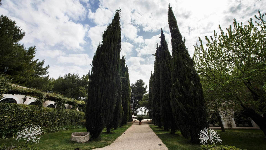 Others 4, Casa Freda, Foggia