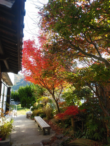 Exterior & Views 2, Guest House Darumaya - Hostel, Nishinoshima