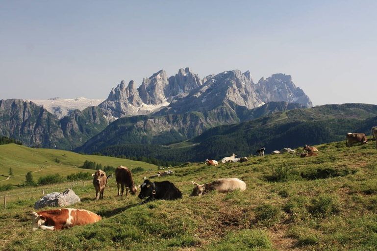Others 5, Hotel Stella Alpina, Belluno
