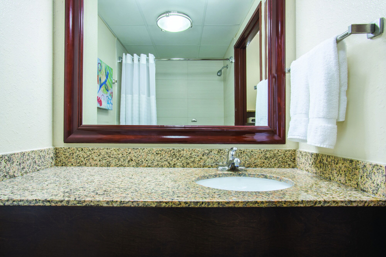 Bathroom 5, Comfort Inn & Suites Sarasota I75, Sarasota