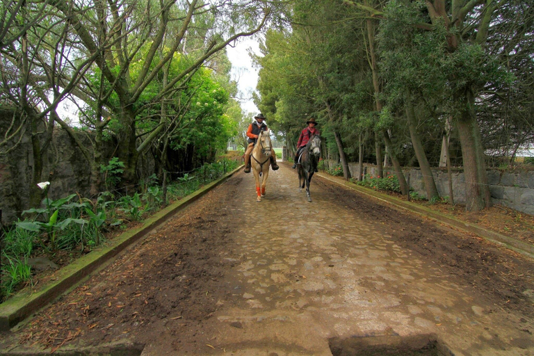 Others 5, Hacienda Hato Verde, Latacunga