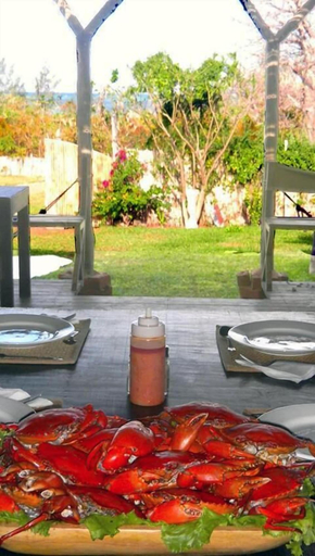 Food & Drinks 5, nZuwa Lodge, Ancuabe