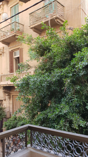 Exterior & Views 2, Caesar hostel, Alexandria