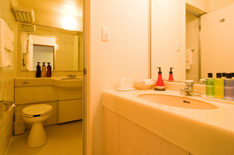 Bathroom 4, Hotel Windsor, Ena