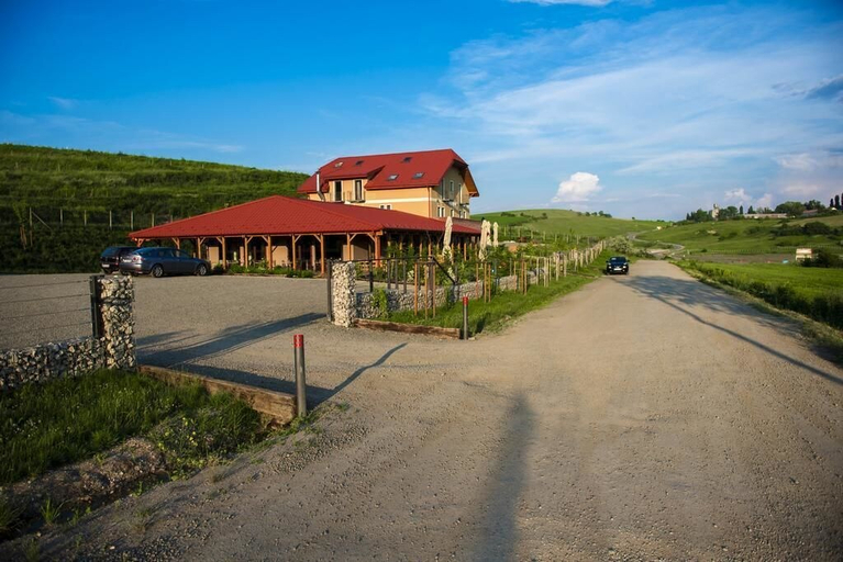 Exterior & Views 2, Pensiunea Sarea-n Bucate, Turda