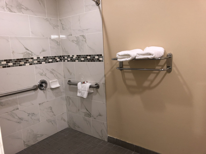 Bathroom 4, Downtowner Inns, Houston