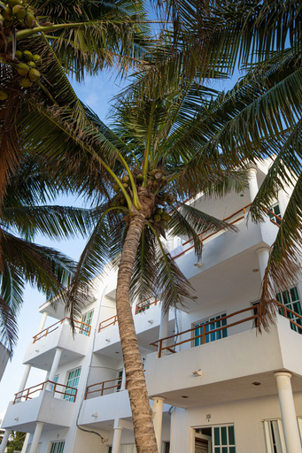 Exterior & Views 2, Hotel & Beach Club Ojo de Agua, Benito Juárez