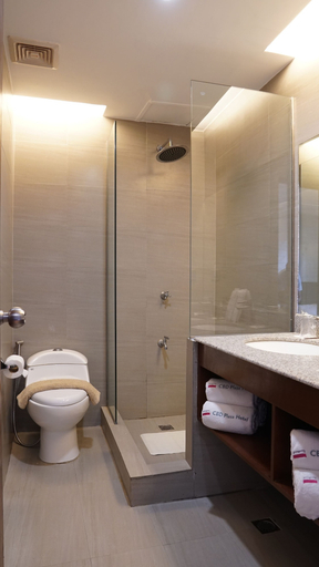 Bathroom 5, CBD Plaza Hotel, Naga City