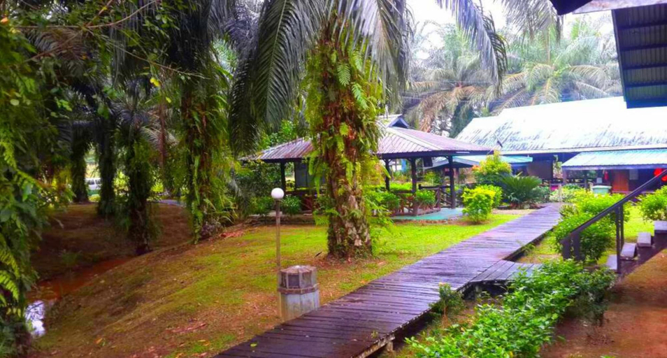 Others 4, Sukau Backpackers B&B, Kinabatangan