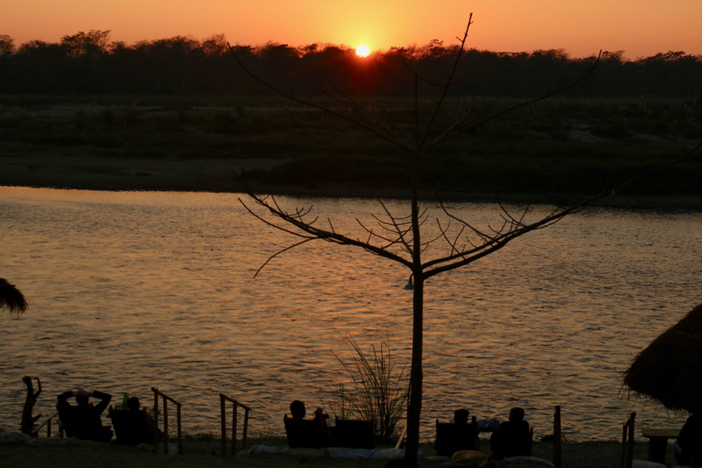 Others 5, Jungle Sunset Camp, Narayani