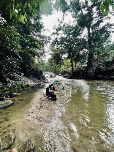 Others 4, Sahom Valley Resort - Agro & Eco, Kampar