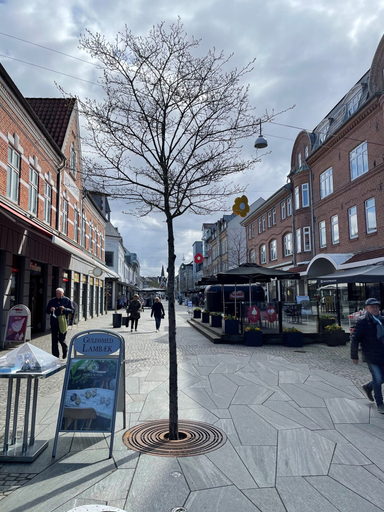 Exterior & Views 2, Herning City Hotel, Herning