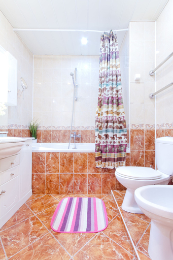 Bathroom 2, Lakshmi Apartment Krasnye Vorota, Central