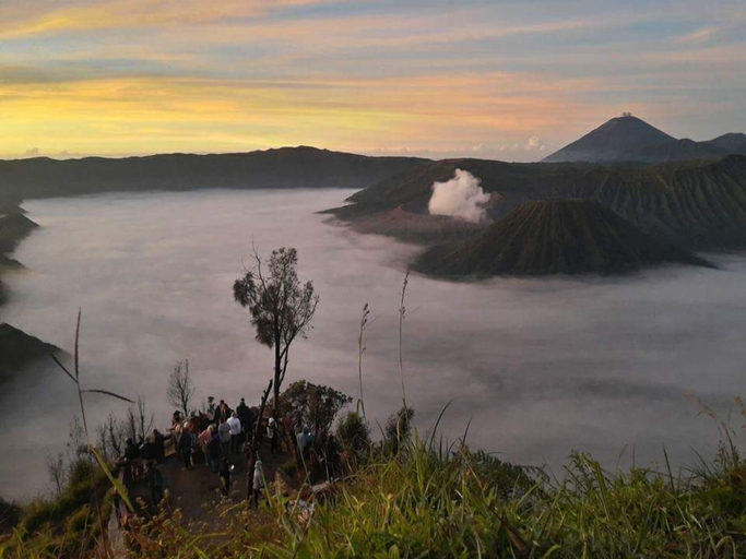 Others 5, Balqis Home Stay, Probolinggo