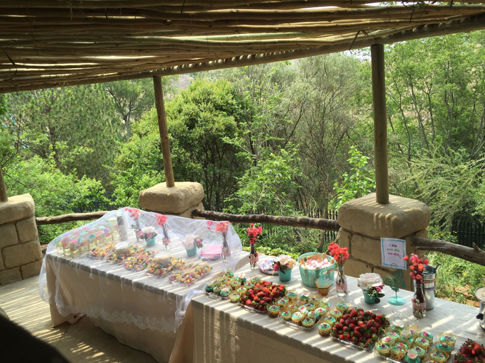 Food & Drinks 3, Rainforest Boutique Camp, West Rand