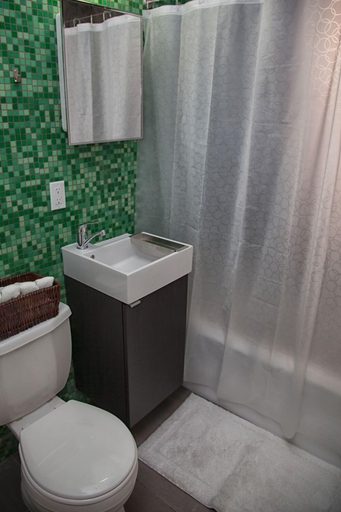 Bathroom 3, Vroom Street apartment, Jersey City