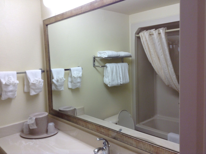 Bathroom 4, Comfort Inn & Suites Ft. Jackson Maingate, Richland