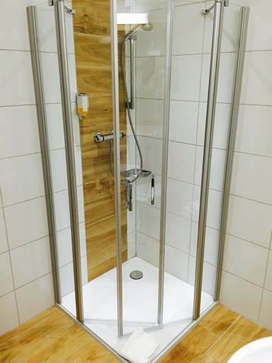 Bathroom 4, Best Western City-Hotel Braunschweig, Braunschweig
