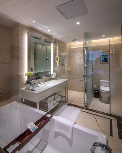 Bathroom 5, Pullman Guiyang, Guiyang