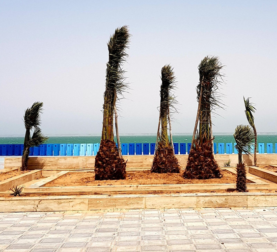 Others 5, Dakhla Ride Adventures