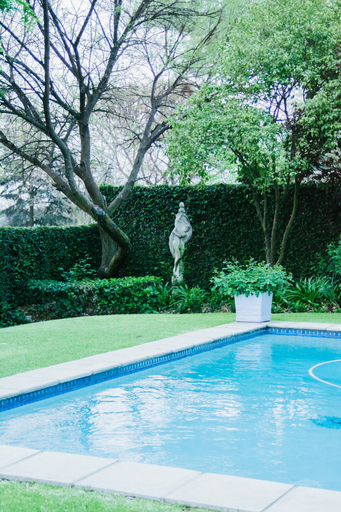 Sport & Beauty 5, Burkleigh House, City of Johannesburg