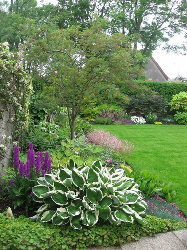 Others 5, Craigard B&B, Stirling