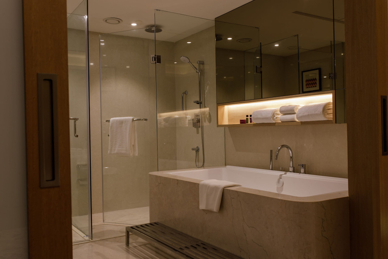 Bathroom 4, Sayaji Jamnagar, Jamnagar