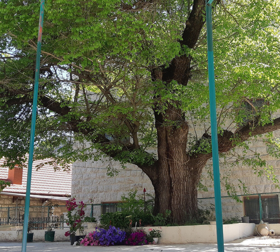 Exterior & Views, Shuruk & Ghurub, Baabda