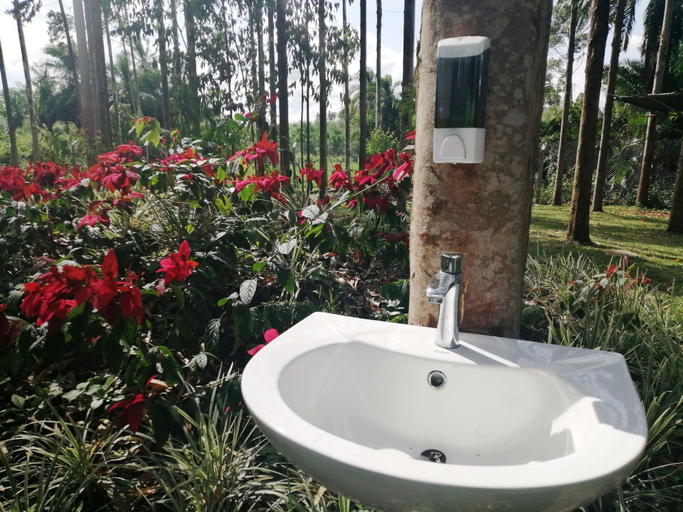 Bathroom, Murchison Backpackers, Buruli