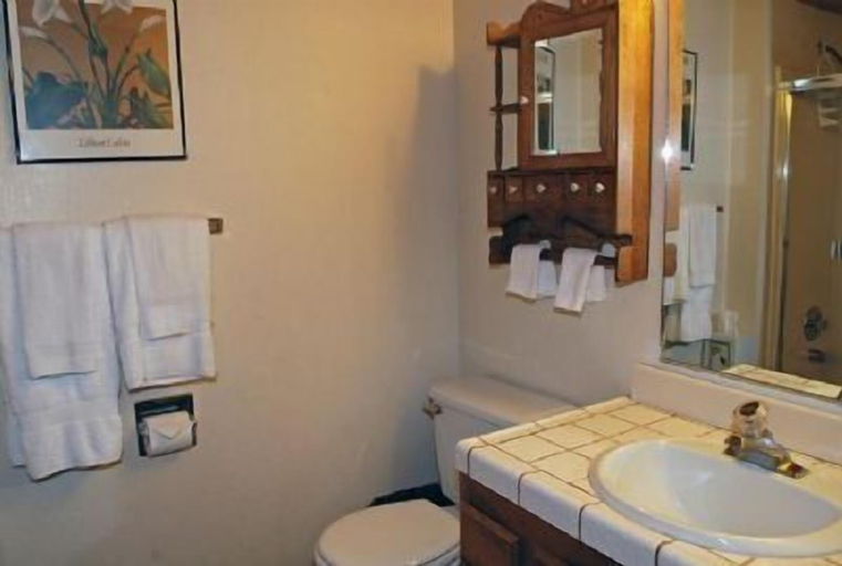 Bathroom 3, St. Croix, Nevada