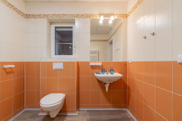 Bathroom 3, Aparthotel DKS, Chomutov