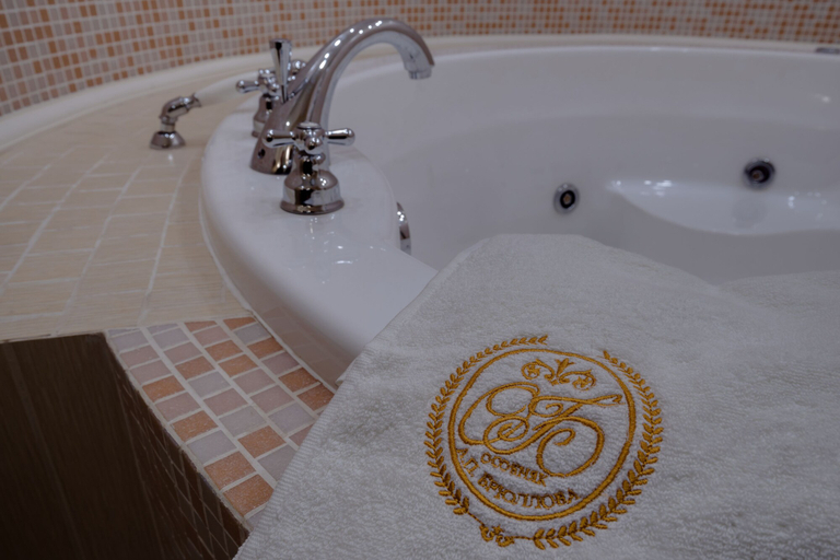 Bathroom 3, Brullov Mansion, Sankt-Peterburg gorsovet