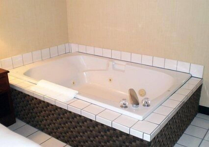 Bathroom 5, Comfort Suites Corvallis, Benton