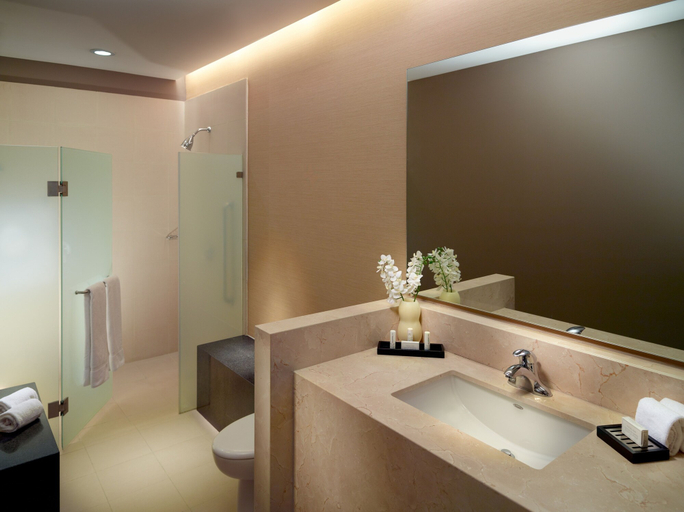 Bathroom 5, Courtyard Mexico City Airport, Mexico City