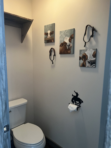 Bathroom 4, Rays place Inn, Bonneville