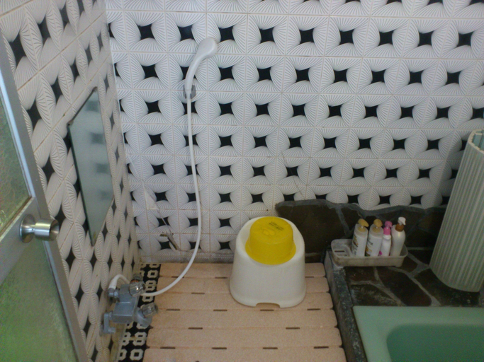 Bathroom 3, Minsyuku Satoyama, Tsuwano