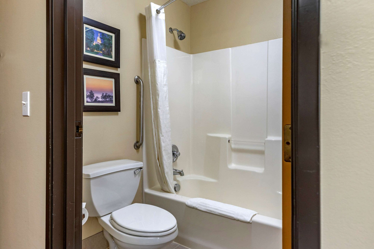 Bathroom 4, Comfort Inn & Suites Diamondale – Lansing, Eaton
