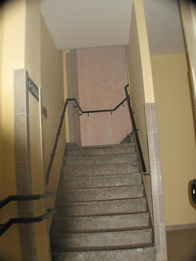 Others 5, Los Cedros Hotel, Distrito Federal