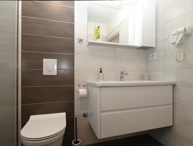 Bathroom 4, House 1866, Ližnjan