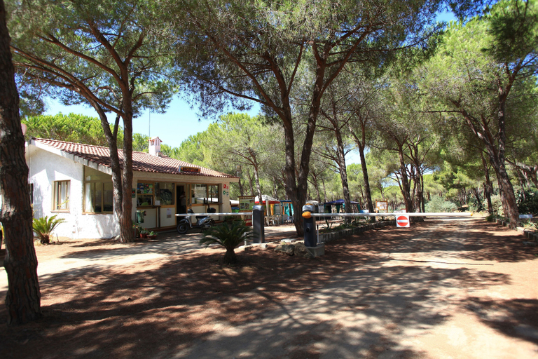 Exterior & Views 2, Happy Camp in Camping Bella Sardinia, Oristano