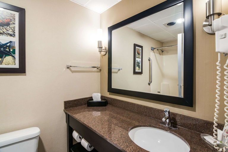 Bathroom 5, Clarion Pointe Jamestown - Falconer, Chautauqua