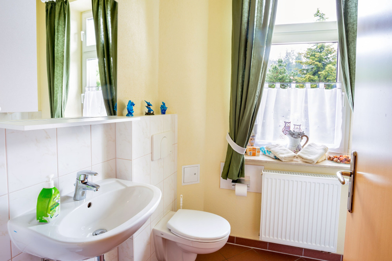 Bathroom 5, Eishexe, Harz