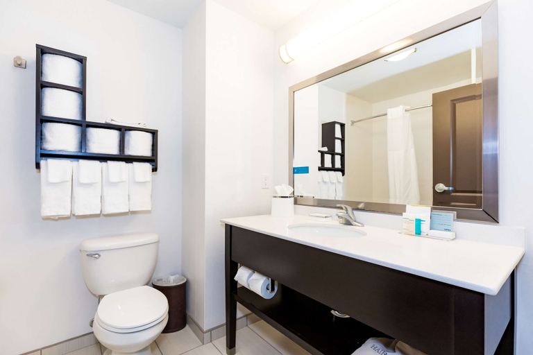 Bathroom 4, Hampton Inn & Suites Sandusky/Milan, Erie