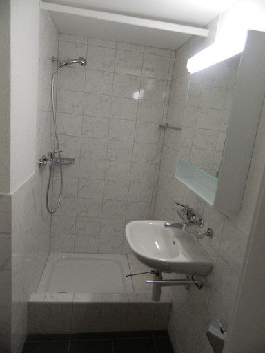 Bathroom 3, Swiss Star Delsbergerallee, Basel